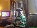martybhoy7