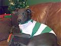 Ianbhoy
